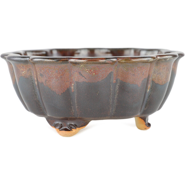 Vaso bonsai marrone loto - 135 x 135 x 60 mm