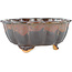 Lotus brown bonsai pot - 135 x 135 x 60 mm