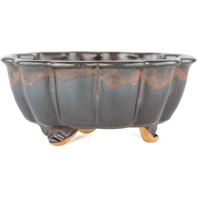 Maceta para bonsai loto marrón - 135 x 135 x 60 mm