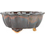 Lotus brown bonsai pot - 135 x 135 x 60 mm