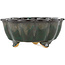 Lotus green bonsai pot - 135 x 135 x 60 mm