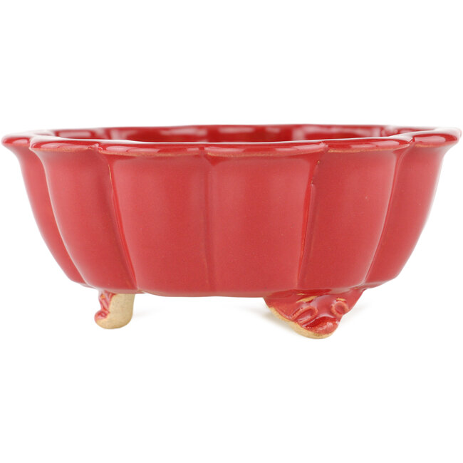 Pot à bonsaï Lotus rouge - 135 x 135 x 60 mm