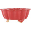 Lotus red bonsai pot - 135 x 135 x 60 mm