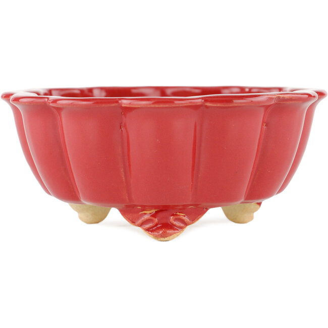 Maceta para bonsai loto rojo - 135 x 135 x 60 mm