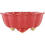 Lotus red bonsai pot - 135 x 135 x 60 mm