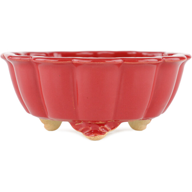 Lotusroter Bonsaitopf – 135 x 135 x 60 mm