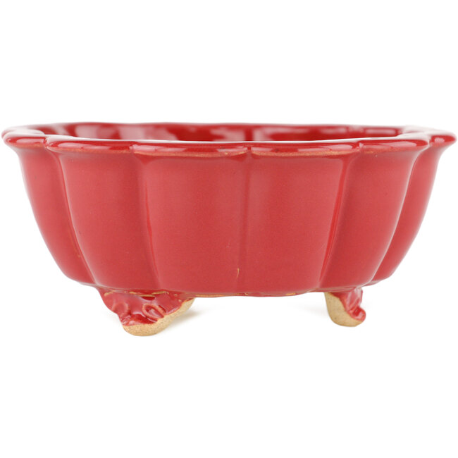 Vaso bonsai rosso loto - 135 x 135 x 60 mm