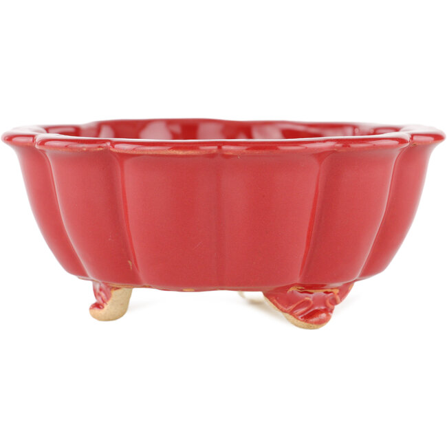 Lotus red bonsai pot - 135 x 135 x 60 mm