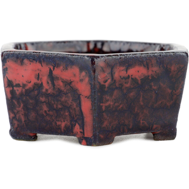 Pot à bonsaï hexagonal multicolore - 100 x 100 x 40 mm