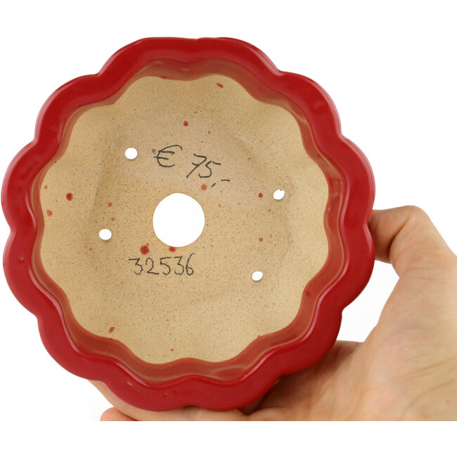 Vaso bonsai rosso loto - 135 x 135 x 60 mm