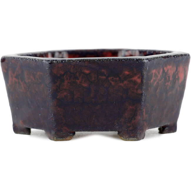 Maceta bonsai hexagonal multicolor - 100 x 100 x 40 mm