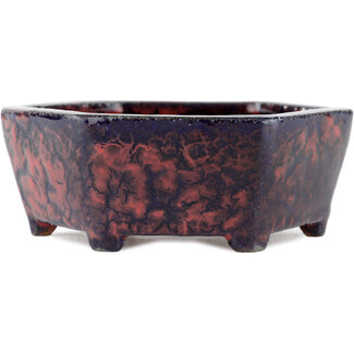 Korean pot artists Maceta multicolor de 135 mm de Corea