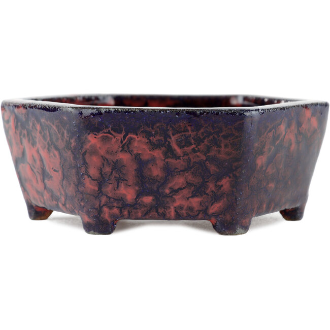 Hexagonal multicolor bonsai pot - 135 x 135 x 45 mm