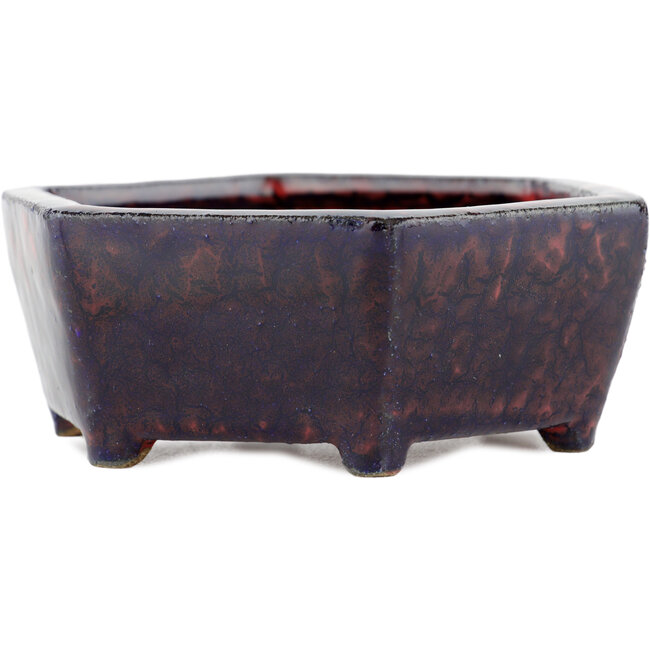 Maceta bonsai hexagonal multicolor - 135 x 135 x 45 mm