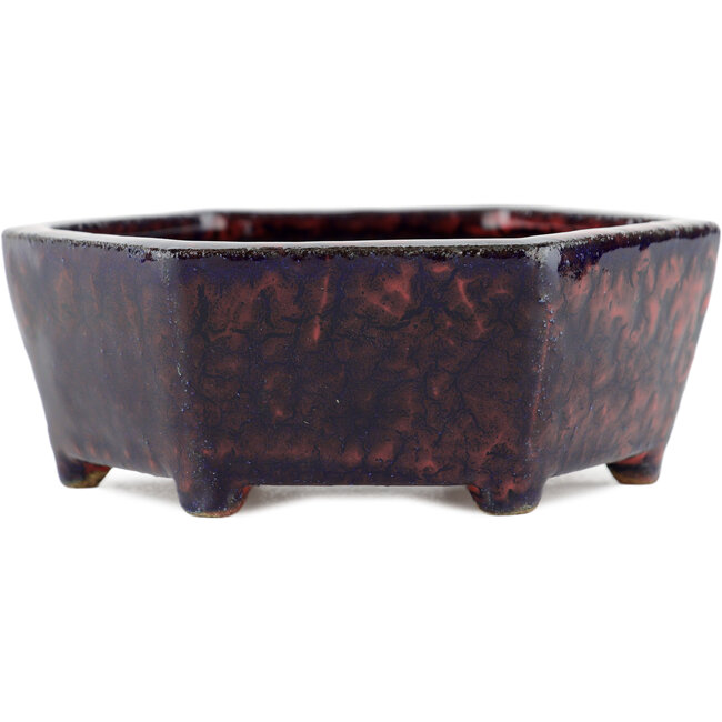 Hexagonal multicolor bonsai pot - 135 x 135 x 45 mm