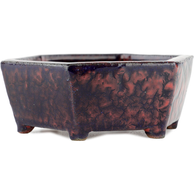 Vaso bonsai esagonale multicolore - 135 x 135 x 45 mm