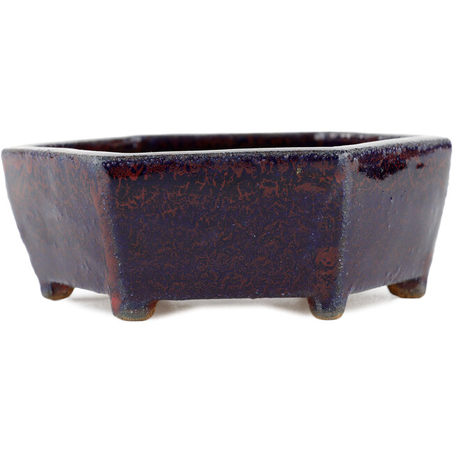 Pot à bonsaï hexagonal multicolore - 135 x 135 x 45 mm
