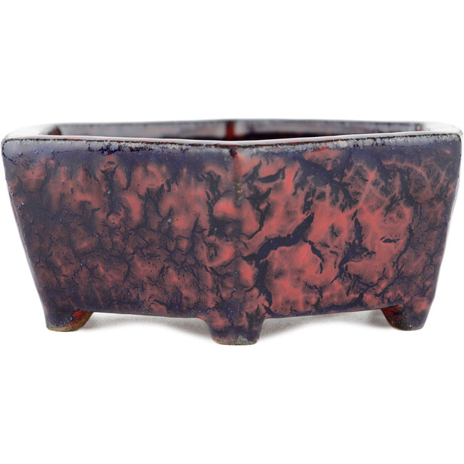 Pot à bonsaï hexagonal multicolore - 135 x 135 x 45 mm