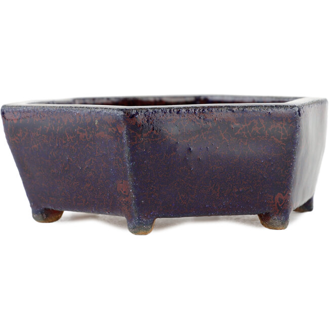 Pot à bonsaï hexagonal multicolore - 135 x 135 x 45 mm