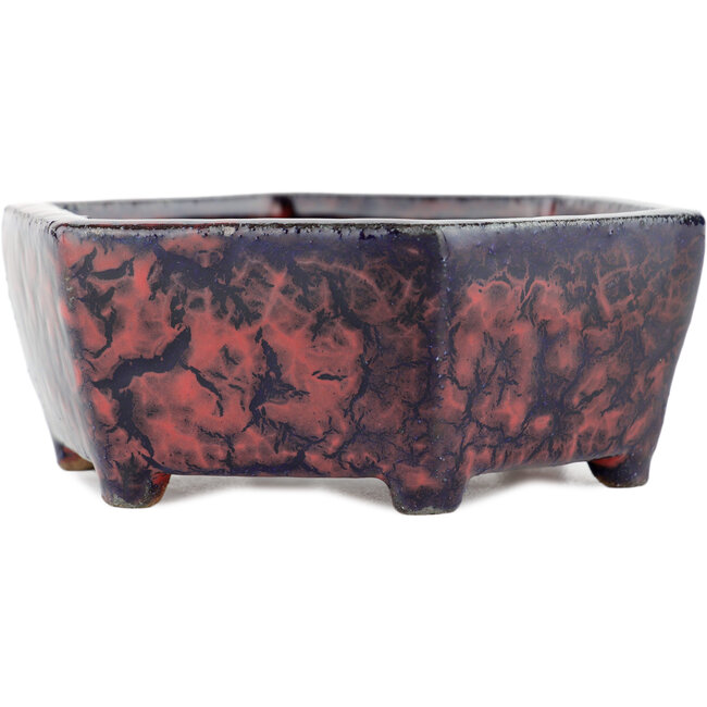 Hexagonal multicolor bonsai pot - 135 x 135 x 45 mm