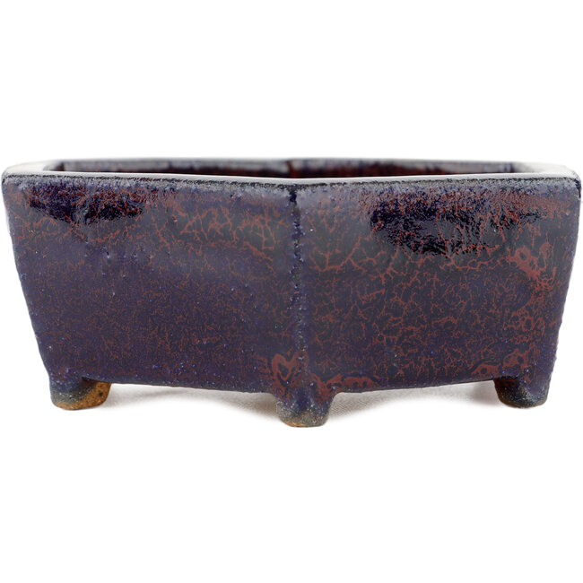 Hexagonal multicolor bonsai pot - 135 x 135 x 45 mm