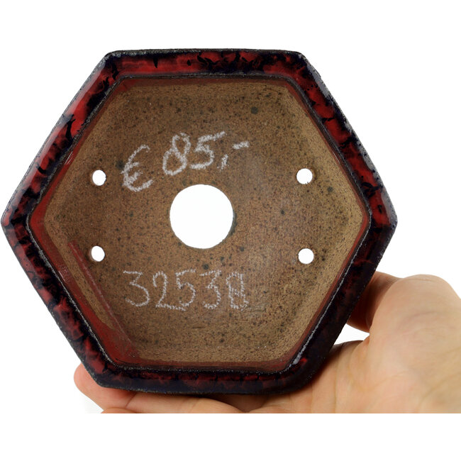 Pot à bonsaï hexagonal multicolore - 135 x 135 x 45 mm