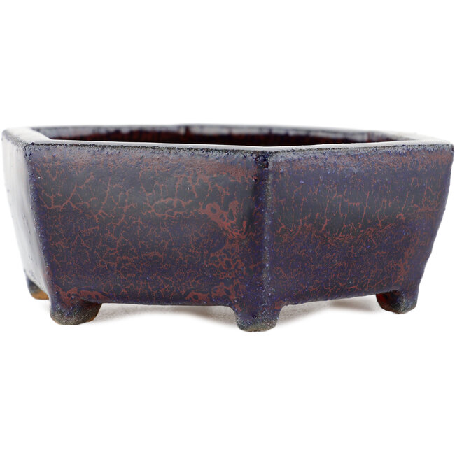 Vaso bonsai esagonale multicolore - 135 x 135 x 45 mm