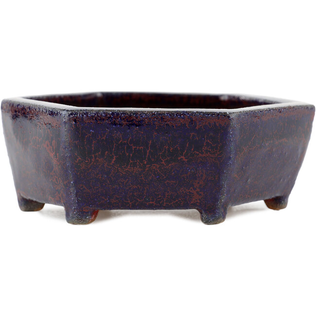 Vaso bonsai esagonale multicolore - 135 x 135 x 45 mm