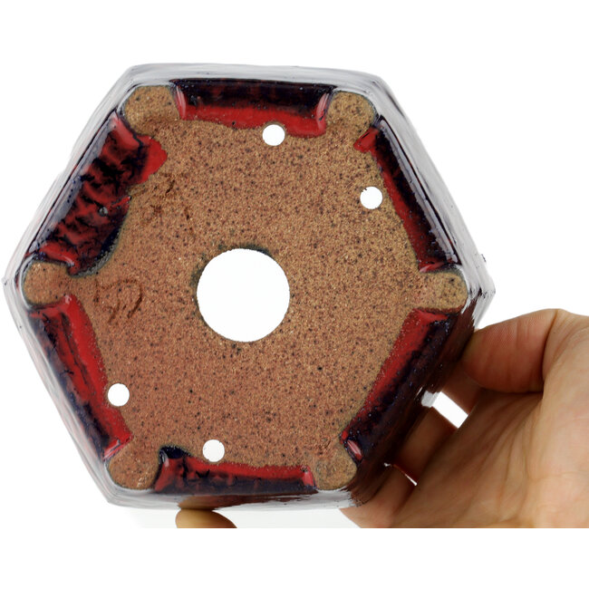 Hexagonal multicolor bonsai pot - 135 x 135 x 45 mm