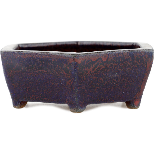 Hexagonal multicolor bonsai pot - 135 x 135 x 45 mm