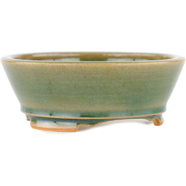 Vaso bonsai rotondo verde - 120 x 120 x 45 mm