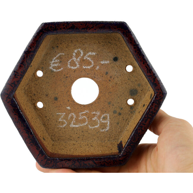 Pot à bonsaï hexagonal multicolore - 135 x 135 x 45 mm