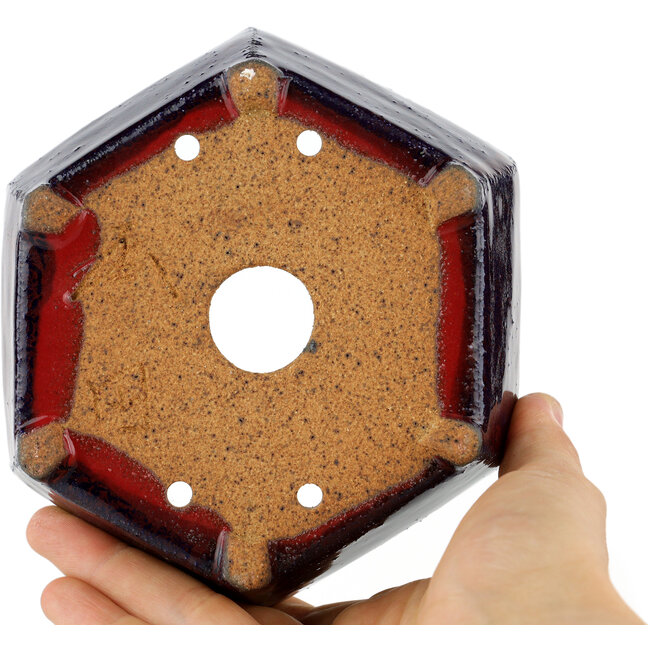 Pot à bonsaï hexagonal multicolore - 135 x 135 x 45 mm