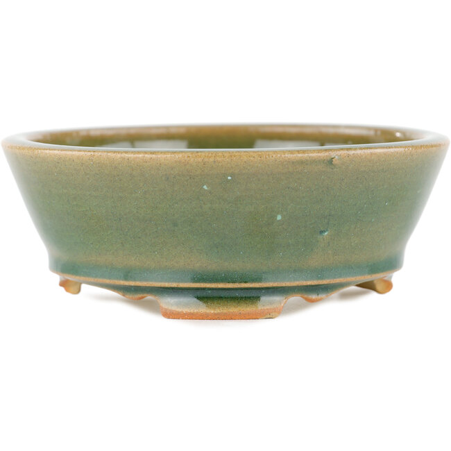 Maceta redonda para bonsái verde - 120 x 120 x 45 mm