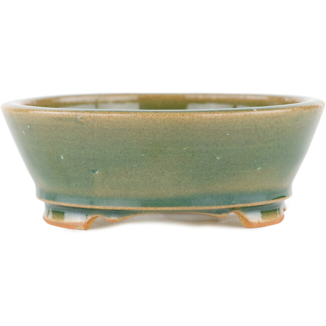 Vaso bonsai rotondo verde - 120 x 120 x 45 mm