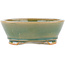 Round green bonsai pot - 120 x 120 x 45 mm