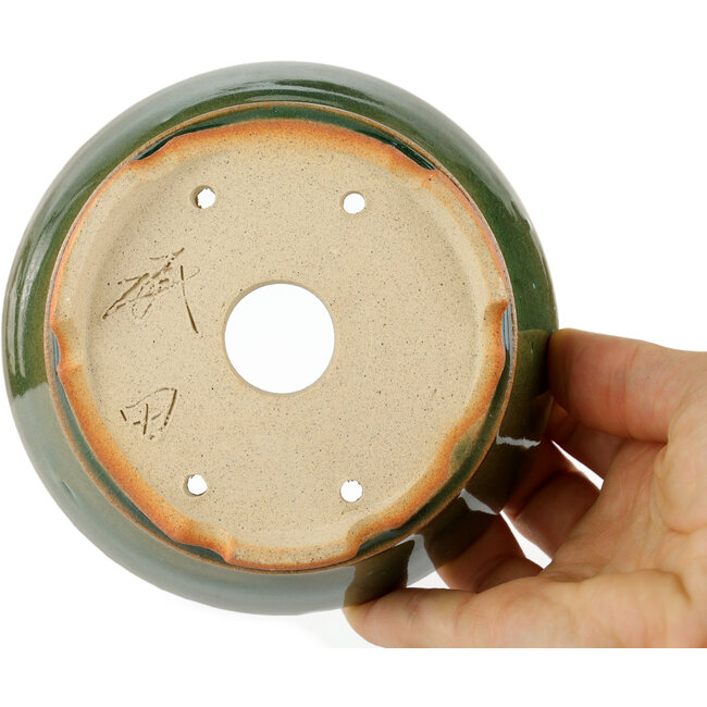 Pot à bonsaï rond vert - 120 x 120 x 45 mm