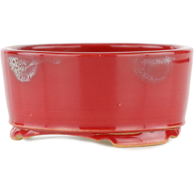 Maceta redonda para bonsái roja - 105 x 105 x 45 mm
