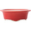 Oval red bonsai pot by Yixing - 170 x 130 x 60 mm