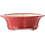 Maceta redonda para bonsái roja de Yixing - 205 x 205 x 65 mm
