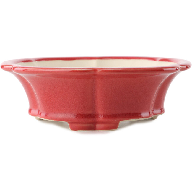 Maceta redonda para bonsái roja de Yixing - 205 x 205 x 65 mm