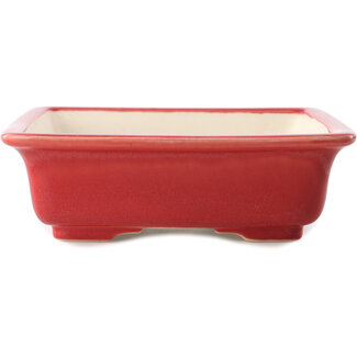 Yixing 210 mm  red bonsai pot by Yixing, China