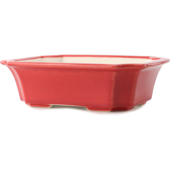 Maceta rectangular para bonsái roja de Yixing - 220 x 180 x 60 mm