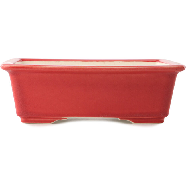 Pot à bonsaï rouge rectangulaire par Yixing - 215 x 170 x 70 mm