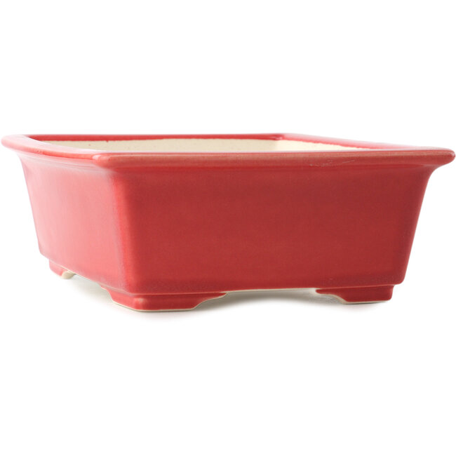 Pot à bonsaï rouge rectangulaire par Yixing - 215 x 170 x 70 mm