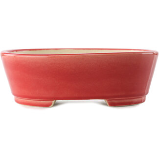 Yixing 235 mm  red bonsai pot by Yixing, China