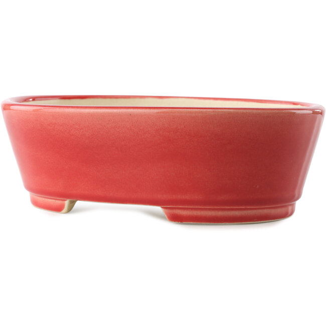 Ovaler roter Bonsaitopf von Yixing – 235 x 185 x 75 mm
