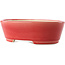 Vaso bonsai ovale rosso di Yixing - 235 x 185 x 75 mm
