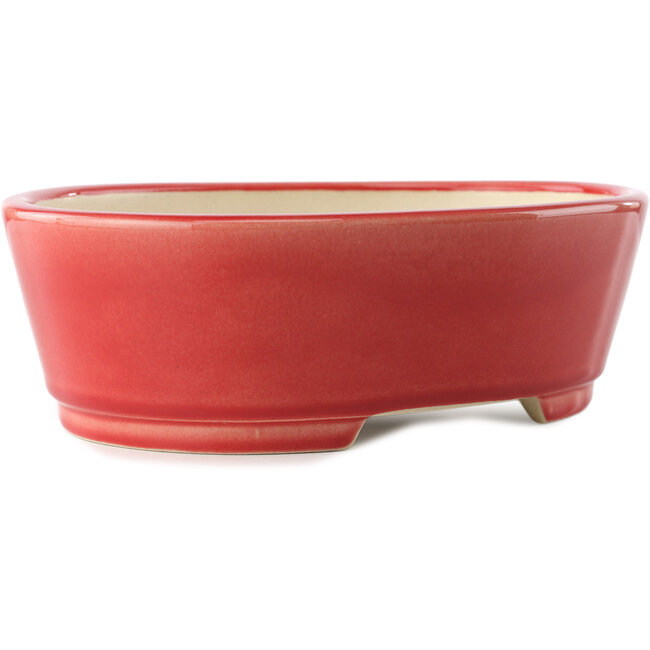 Vaso bonsai ovale rosso di Yixing - 235 x 185 x 75 mm