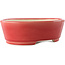 Oval red bonsai pot by Yixing - 235 x 185 x 75 mm